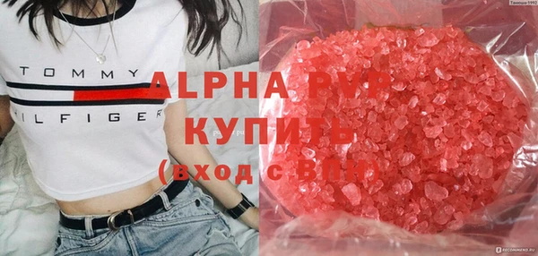 прущие грибы Алексин